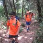 Finalmenteci infiliamo in un bel sentiero nel bosco